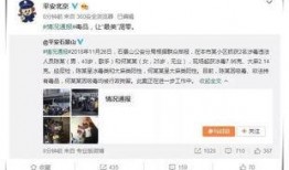 娱乐圈吃瓜爆料在线观看 瓜瓜吃瓜ppt 今日吃瓜热门大瓜每日更新51,瓜瓜吃瓜PPT，每日热门大瓜51期精彩回顾