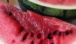 吃瓜网官网免费观看 吃瓜爆料,揭秘娱乐圈最新吃瓜爆料